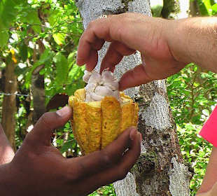 Der Kakao schmeckt so noch gar nicht