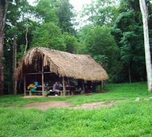 Village of natives at Rio Caura