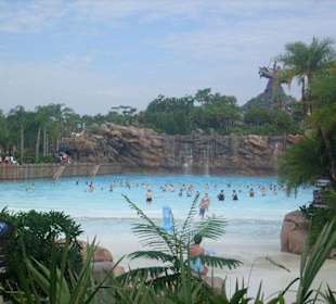 Typhoon Lagoon  Das Becken der Riesenwelle