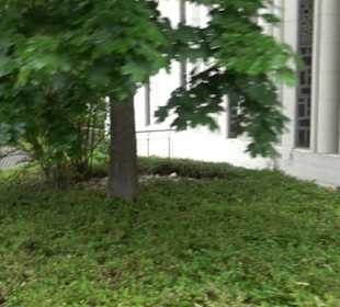 Krönungskirche Ergenzingen