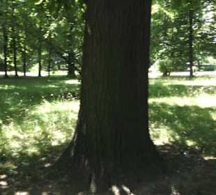Englischer Garten
