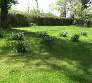 Friedhof Heiligkreuz