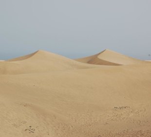 Dünen von Maspalomas