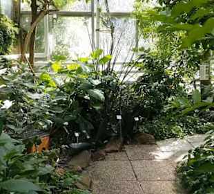 Botanischer Garten