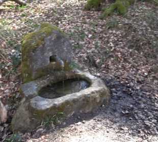 Geschichtlicher Lehrpfad Einsiedel