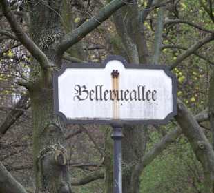 Bellevueallee