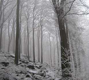 W drodzę na Ślężę