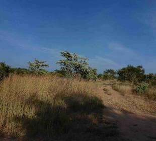 Krüger Nationalpark