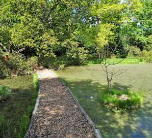Eindrücke vom Rundgang durch den Berggarten