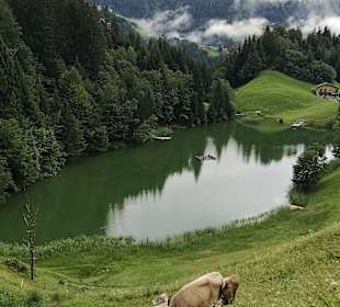 Seerundgang Seewaldsee