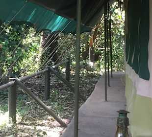 Luxus Zelten auf Safari