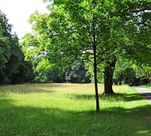 Rundgang durch den Bamberger Hain