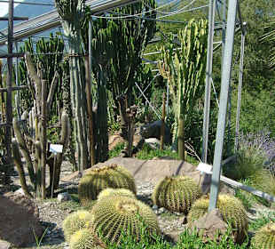 Themenpark im Botanischen Garten in Meran