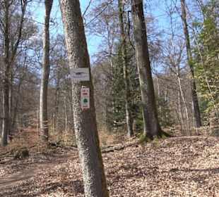 Geologischer Lehrpfad Kirnbachtal