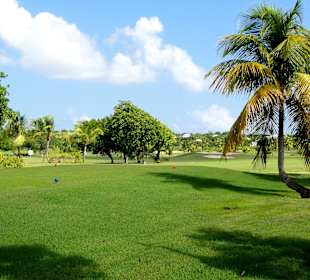 Spaziergang über den Platz