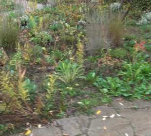 Garten Großbritanien