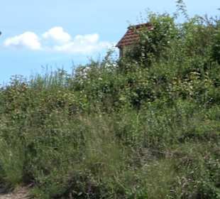 Früchtetrauf - Wurmlinger Kapellenwegle