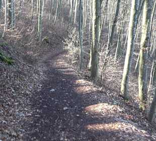 Wanderroute Drei Berge Tour Willmandingen
