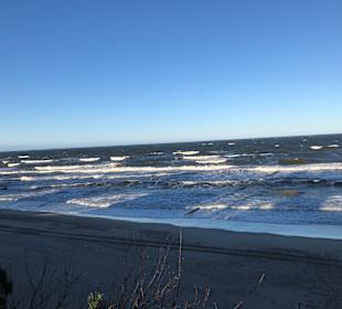 Strand Rewal