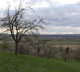 Der Grafenberg