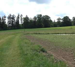 Premiumwanderweg "hochgehackert"