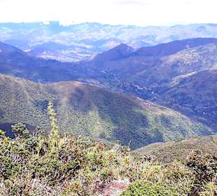 Podocarpus Nationalpark