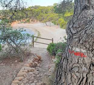 Wandern L'Ametlla de Mar