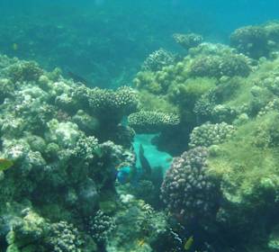 Hausriff Fort Arabesque