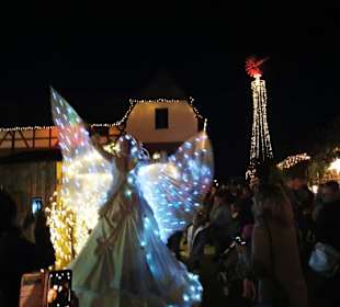 Das ist doch was wunderbares 