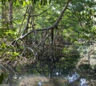 Los Haitises Nationalpark
