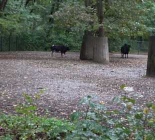 Tierpark 