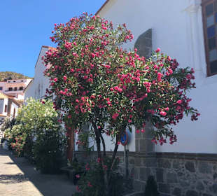 Inseltour Romántica Alltours