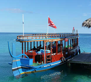 Tauchdhoni