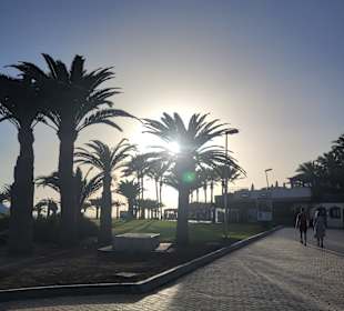 Stadtrundgang Maspalomas