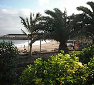 Strand Las Cucharas