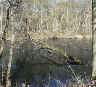 Bei einem Spaziergang am Sennfelder Seenkranz