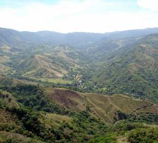 Monteverde