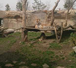 Zoo Ohrada Hluboká nad Vltavou
