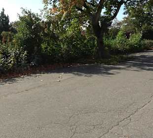 Wanderparkplatz am Bussen Offingen