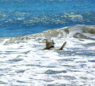 Ende September 2010 Inspirationen