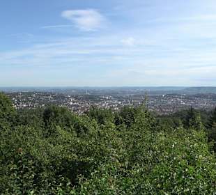 Birkenkopf