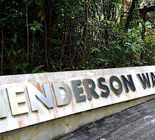 Henderson Waves Bridge 