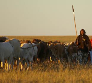 Powrót z pastwisk do wioski