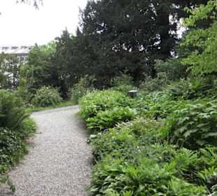 Alter botanischer Garten