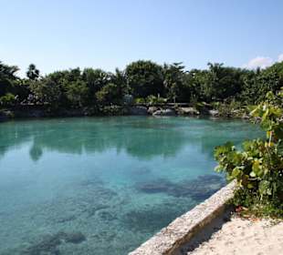Lagune