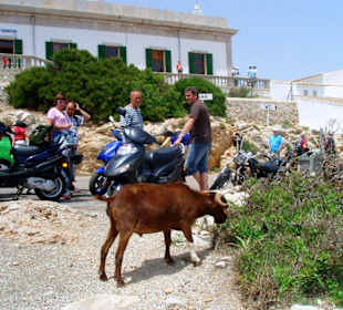 aufpassen wo man hintritt