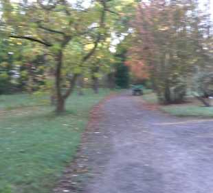 Botanischer Garten