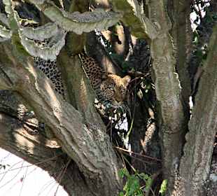 Queen Elizabeth National Park