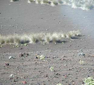 Timanfaya (Montanas del Fuego)