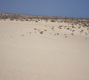 Fuerteventura Corralejo